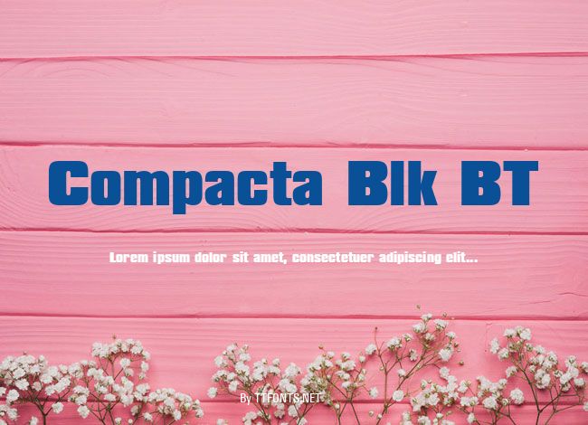 Compacta Blk BT example